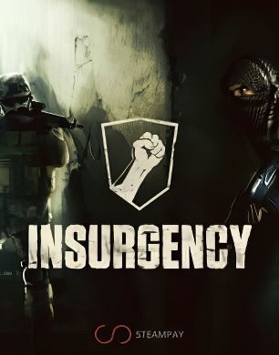 
Insurgency