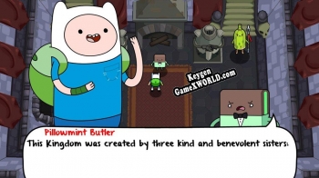 Adventure Time The Secret of the Nameless Kingdom ключ активации
