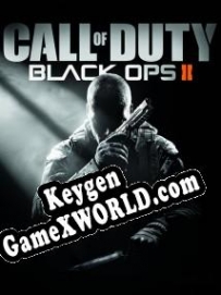 Call of Duty: Black Ops 2 ключ активации