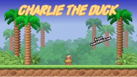 Регистрационный ключ к игре  Charlie the Duck