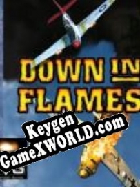 Регистрационный ключ к игре  Down in Flames