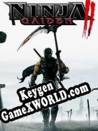 Ninja Gaiden 2 ключ бесплатно