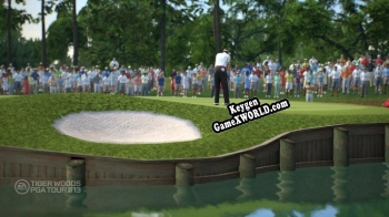 Генератор ключей (keygen)  Tiger Woods PGA TOUR 13