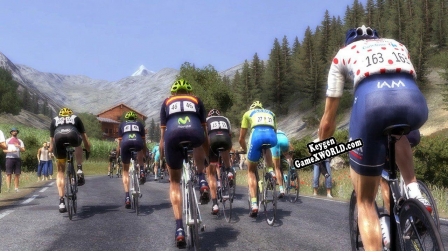 Tour de France 2015 генератор серийного номера