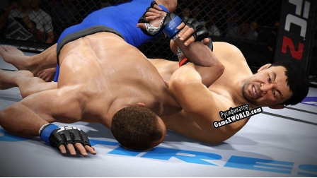Русификатор для EA SPORTS UFC 2