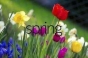 Русификатор для spring 1.0 no code by rsgs