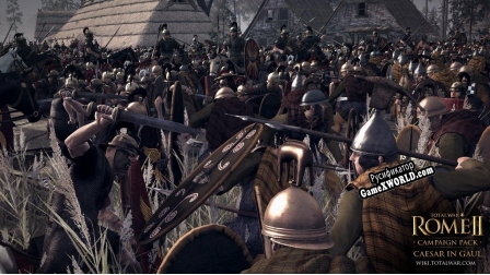 Русификатор для Total War Rome II - Caesar in Gaul