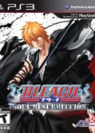 Bleach: Soul Resurreccion: Трейнер +13 [v1.6]