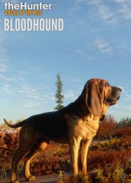 The Hunter: Call of the Wild Bloodhound: Трейнер +7 [v1.8]